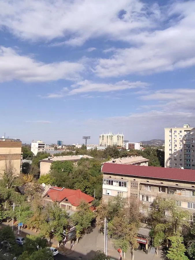 X,Ata Apartment Almaty
